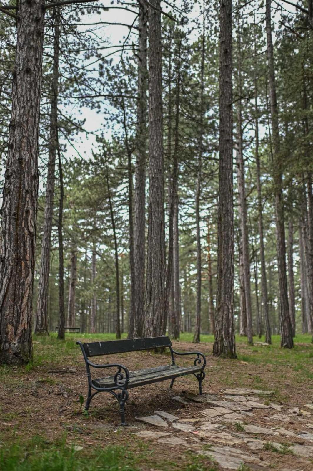 Mb Apartman Tara Kaludjerske Bare Zimmer foto